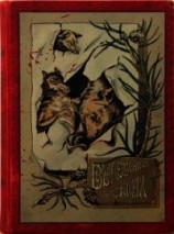 читать В дебрях Севера(Приключения волка, медведя и лисицы)