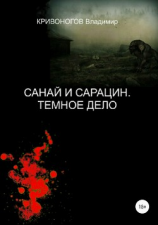 читать Санай и Сарацин. Темное дело