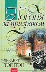 читать Погоня за призраком