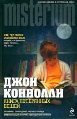 читать Книга потерянных вещей