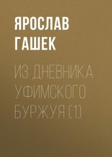 читать Из дневника уфимского буржуя (1)