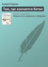 читать Там, где кончается бетон