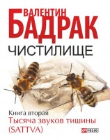 читать Чистилище. Книга 2. Тысяча звуков тишины (Sattva)