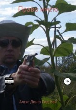 читать Право имею