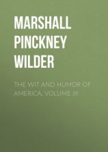 читать The Wit and Humor of America, Volume IX