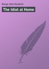 читать The Idiot at Home