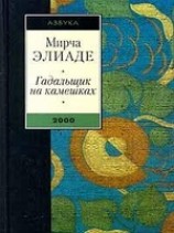 читать На улице Мынтулясы