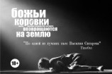 читать Божьи коровки возвращаются на землю