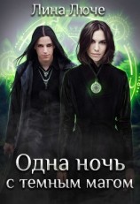 читать Одна ночь с темным магом