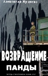 читать Возвращение Панды