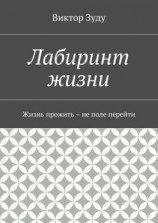 читать Лабиринт жизни