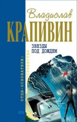 читать Звёзды под дождём