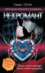 читать Хроники Темного Универа. Некромант (сборник)