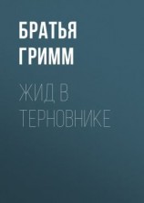 читать Жид в терновнике