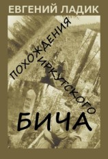 читать Похождения иркутского бича