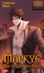 читать Маркус. Маг из другого мира. Книга 1