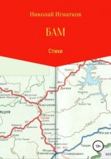читать БАМ. Книга стихотворений