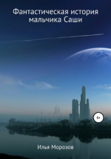 читать Фантастическая история мальчика Саши