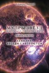 читать Мудры звезд. Ченнелинг с силами света. Книга третья. Беседы с Абсолютом