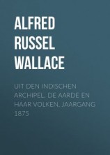 читать Uit den Indischen Archipel. De Aarde en haar volken, Jaargang 1875