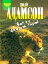 читать Пиппа бросает вызов