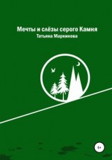читать Мечты и слёзы серого Камня