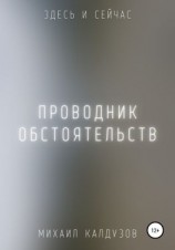 читать Проводник обстоятельств. Здесь и сейчас