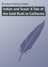 читать Indian and Scout: A Tale of the Gold Rush to California