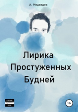 читать Лирика Простуженных Будней