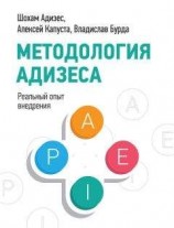 читать Методология Адизеса. Реальный опыт внедрения