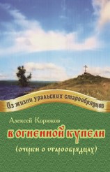 читать В огненной купели