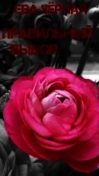 читать Правильный выбор