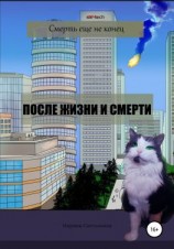 читать После жизни и смерти