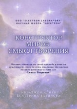 читать Конструктор миров: Смысл творения. Том 5