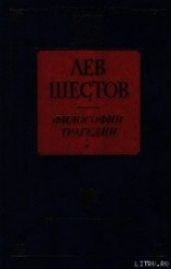 читать Добро в учении гр. Толстого и Ницше