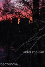 читать Бестолочь