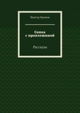 читать Сопка с проплешиной. Рассказы