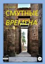 читать Смутные времена. Книга 6