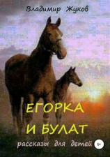 читать Егорка и Булат