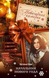 читать Начальник Нового года