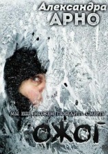 читать Ожог