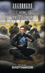 читать Ком. Путь домой