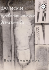 читать Записки провинциального детектива