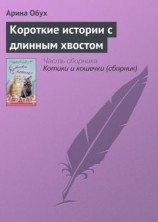 читать Короткие истории с длинным хвостом