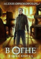 читать В огне