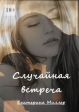 читать Случайная встреча