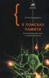 читать В поисках памяти