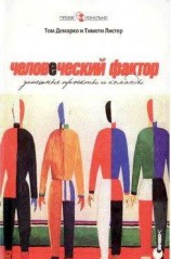 читать Человеческий фактор: успешные проекты и команды