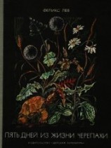читать Пять дней из жизни черепахи