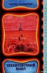 читать Тренировочный полёт (авторский сборник)